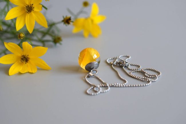 Kolekcia Žltý Iskerník